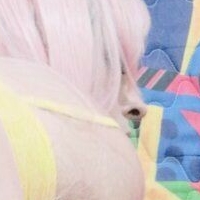 Darkwaifu Trap Nackt