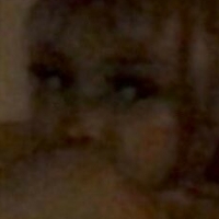 Kittypet Nackt