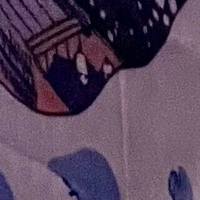 notyourfeedee Nackt