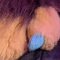 saberthot Nackt
